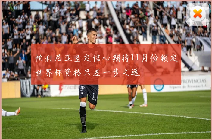 帕利尼亚坚定信心期待11月份锁定世界杯资格只差一步之遥
