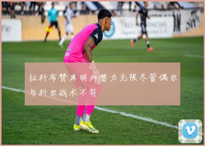 拉科布赞库明加潜力无限尽管偶尔与科尔战术不符